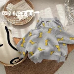 【66-90cm】恐竜プリント セットアップ - 画像 (5)