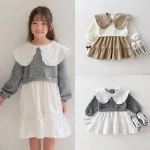 【73-120cm】 英丸襟 ワンピース - 画像 (3)