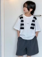 【100-150cm】Tシャツ 半袖 ストライプ 配色 切り替え - 画像 (6)