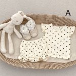 【66-100cm】セットアップ ベビー フリル袖トップス＆レースショートパンツ - 画像 (6)