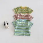 【73-120cm】半袖Tシャツ ベビー 男の子 ボタン付き ボーダー - 画像 (6)