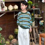 【100-170cm】半袖Ｔシャツ 男の子 ボーダー柄 軽量 通気性拔群 - 画像 (4)