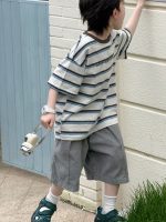 【100-160cm】半袖Tシャツ 男の子 ボーダー柄 ゆったり - 画像 (4)