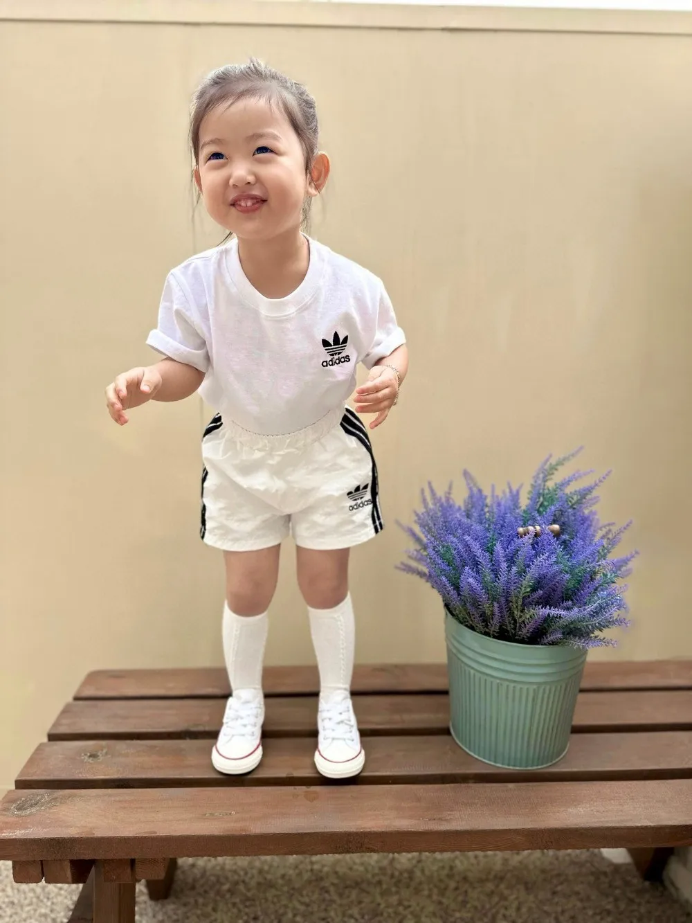 Ｔシャツ１/単品