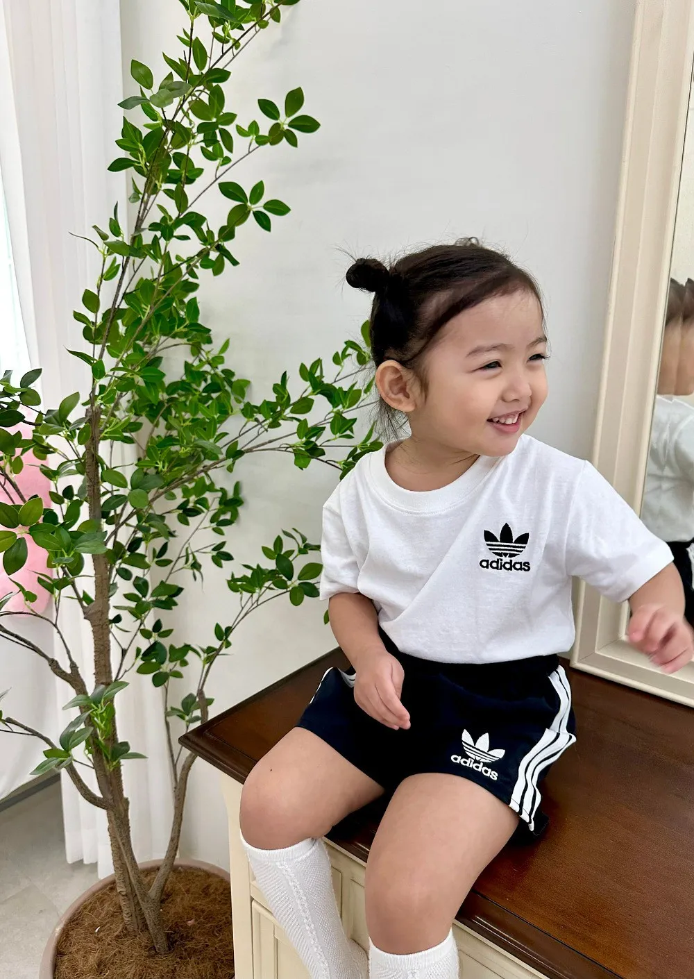 Ｔシャツ3/単品