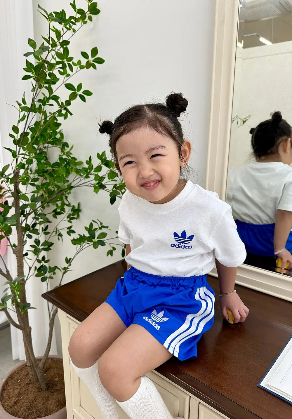 Ｔシャツ4/単品