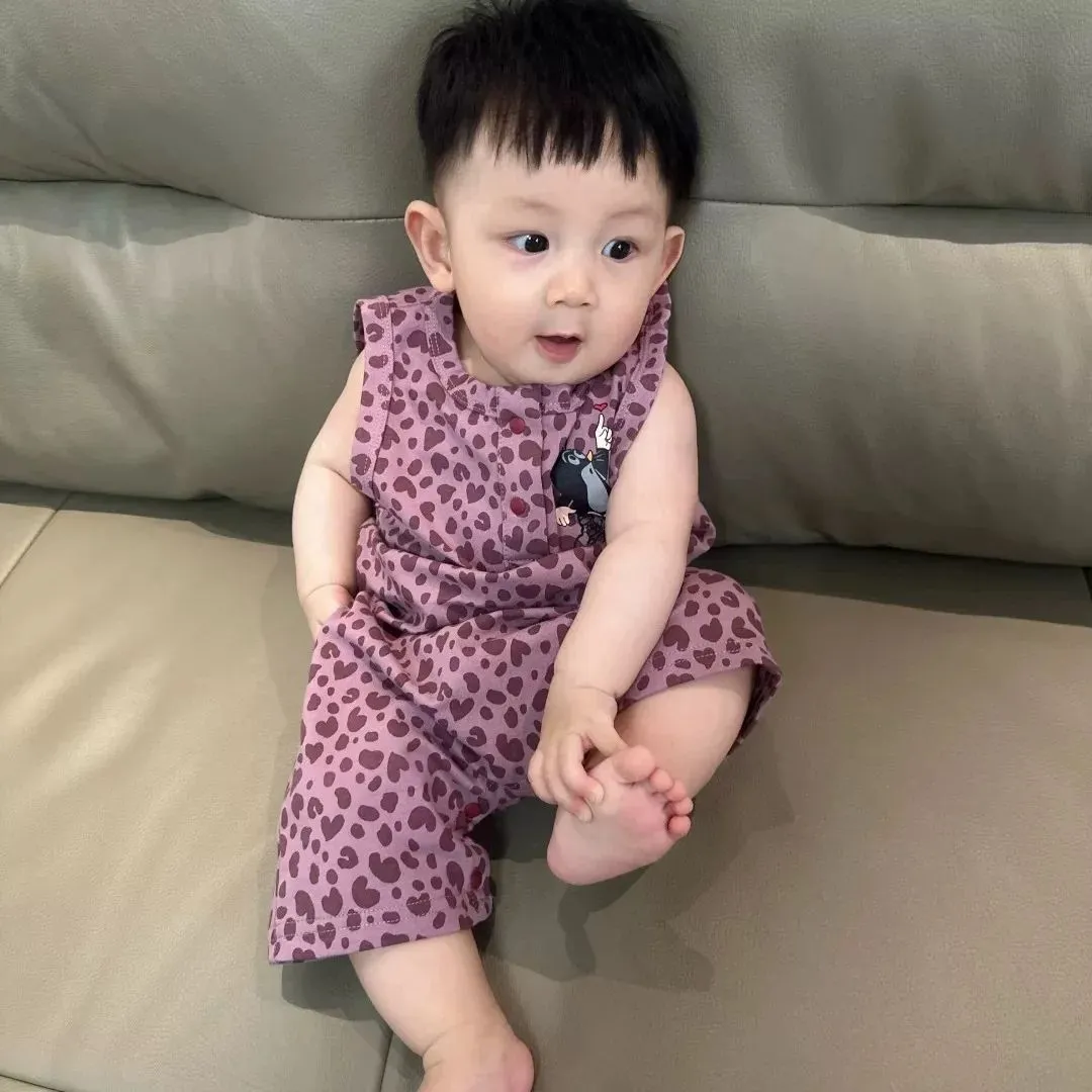 写真通り